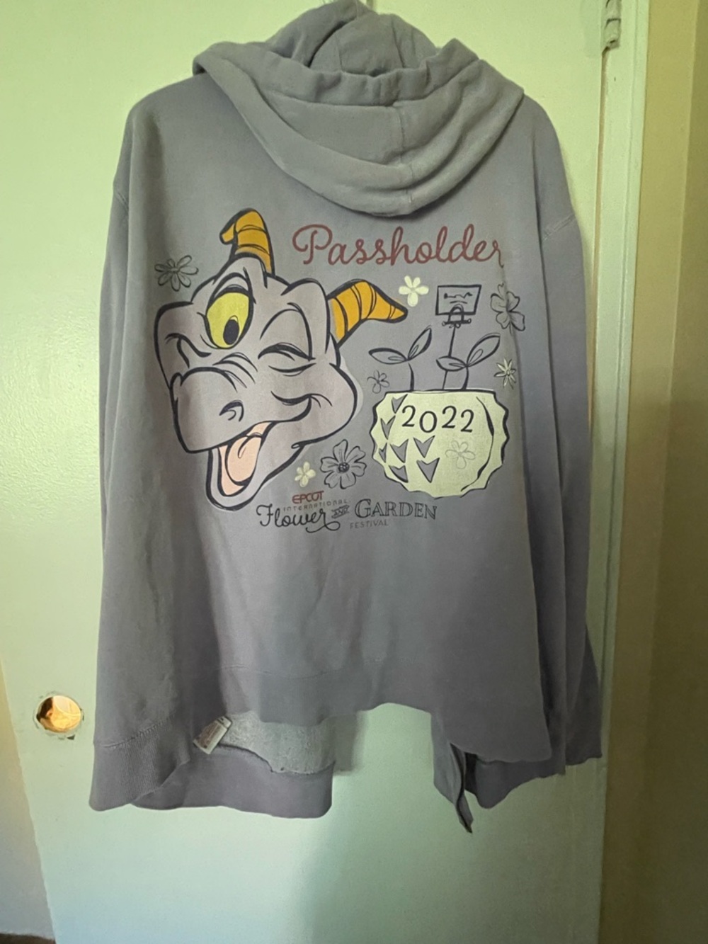 Disney Passholder Hoodie